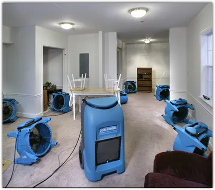 Water Mitigation Services in Linton Hall, VA