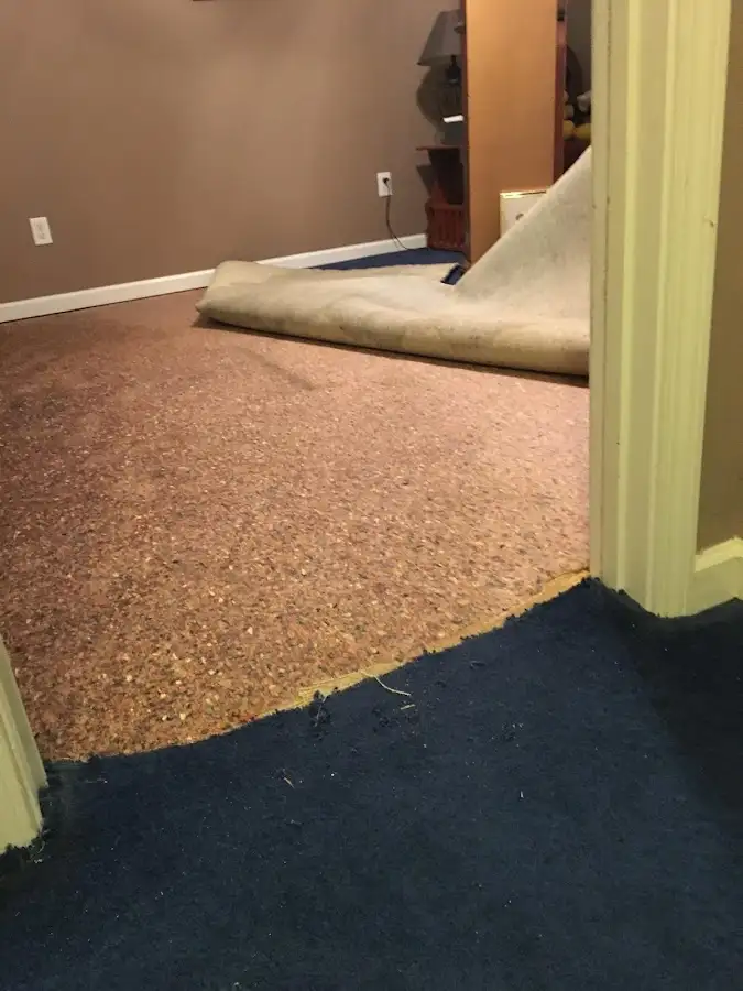 Carpet pad removal revealing water damage during Water Mitigation Services in Linton Hall