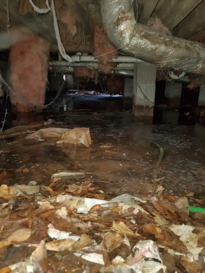 Crawl space flood assessment for Leak Detection & Repair in Linton Hall